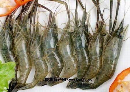 大虾是哪里的特产 中国什么地方产大虾最多