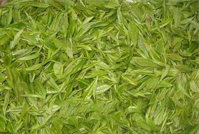 云南特产绿茶有哪些 云南比较出名的绿茶有哪些