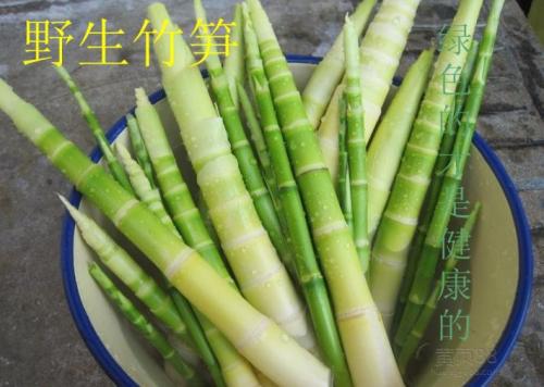 干竹笋的特产在哪里 中国最好吃的干竹笋有哪些