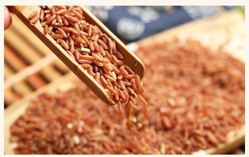 洋县特产红米价格 靖州红米价格表
