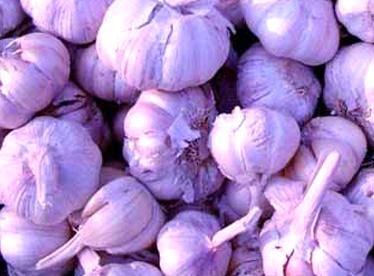 潮汕特产紫薯条 紫薯条是哪里的特产啊视频