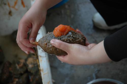 山东烟台特产虾酱多少钱 山东虾酱产地哪里最出名
