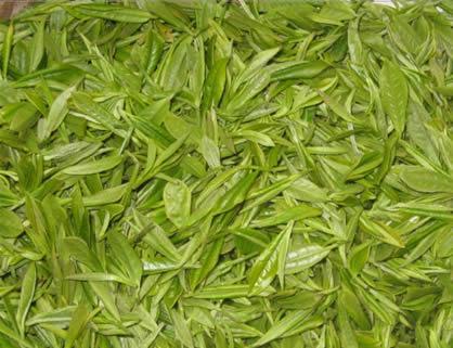 广州的特产茶叶有哪些品牌 广州特产茶叶有哪些品种