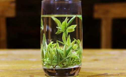 青岛崂山绿茶特产 崂山绿茶推荐