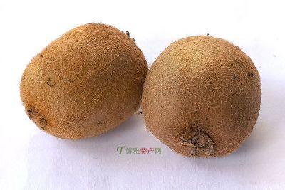 软枣猕猴桃是辽宁哪的特产 辽宁软枣猕猴桃哪家好