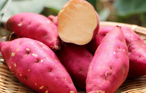 赣州红薯干特产多少钱1斤 红薯干的特产图片