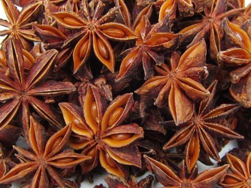 八角茴香是哪个省的特产 八角茴香哪里的最有名