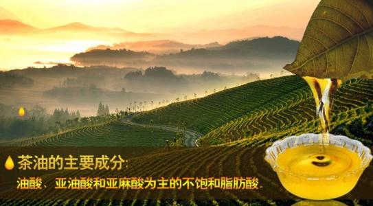 信阳特产茶油哪里好 信阳新县有卖茶油的吗