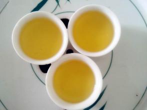 青岛特产崂山绿茶简介 真正的崂山本地绿茶