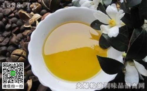 湖南常宁特产茶油 湖南最好的茶油在什么地方
