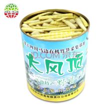 广西土特产竹笋 广西灵山最便宜的竹笋