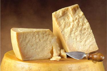 奶酪 特产 内蒙特产奶酪还叫什么