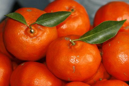 红橘是哪的特产 红橘的来历