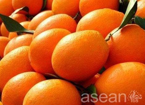 泸州特产 柚 泸州的特产有哪些水果