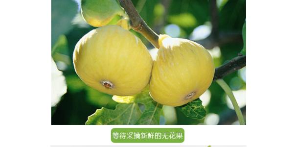 四川威远县特产小吃有哪些 威远县最有名的美食