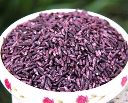 糯扎渡土特产紫米 紫米是什么地方的特产