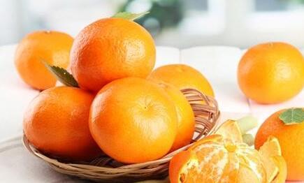 惠州南昆山特产柑桔 推荐一种特产柑橘