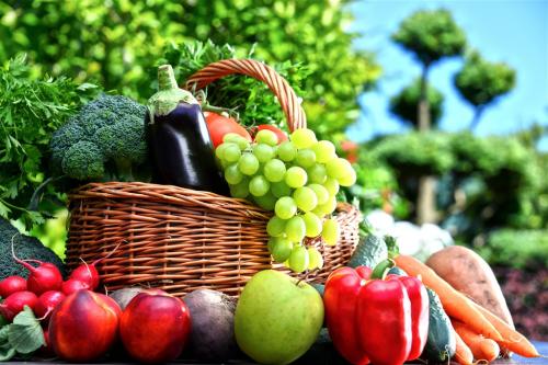 沙特产什么最多的水果和蔬菜 沙特阿拉伯的特产水果