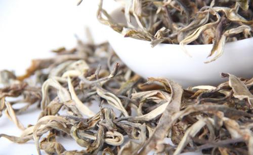 怎么区分不同安吉特产白茶的价格 最好的安吉白茶多少钱一斤