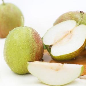 安徽特产新鲜砀山酥梨可以煮梨水 安徽砀山酥梨正宗做法