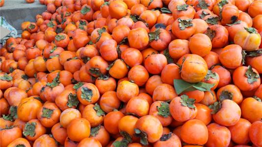 属于我国特产的是苹果葡萄柿子 农村的一种水果像柿子