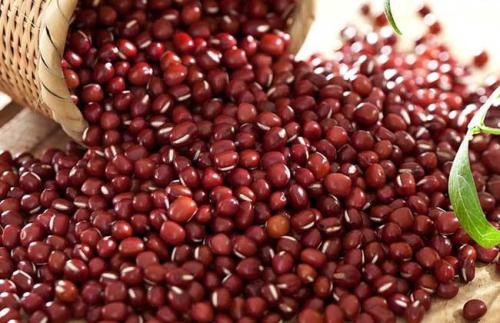 薏米赤小豆哪里特产好吃 赤小豆薏米能当零食吗