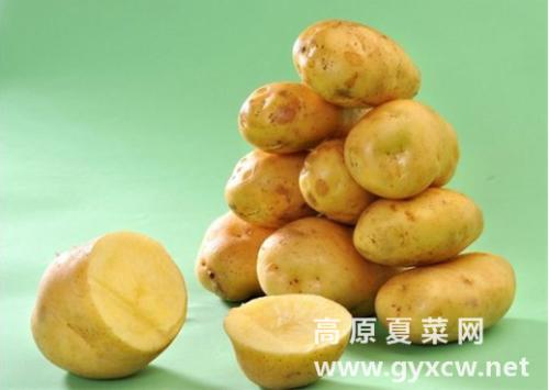 中国马铃薯地方特产 国内最佳马铃薯产地