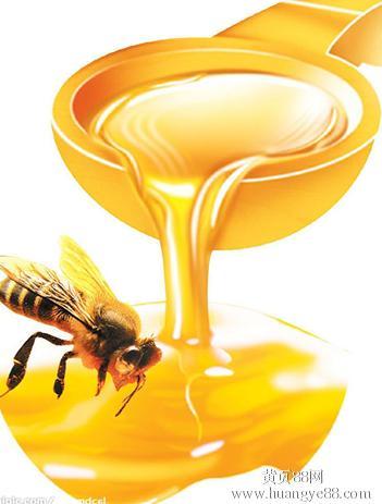 重庆特产蜂蜜 重庆特产有蜂蜜吗