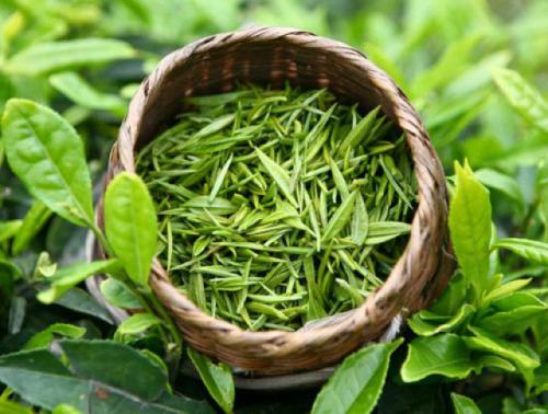 江南特产的茶叶是什么茶 浙江杭州的茶叶是什么茶