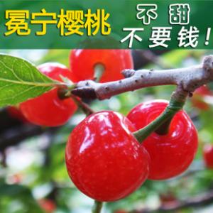 冕宁县欣源土特产门市部 金阳农特产品专卖店