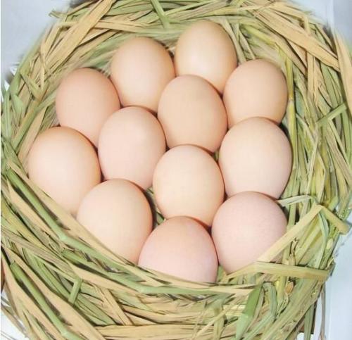 鸡蛋特产品类图片 鸡蛋品类简介