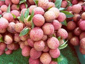 广州必买的特产水果 广州必带特产图片水果