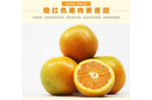 云阳红橙水果特产 云阳红橙地理条件